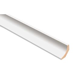 18mm Primed Scotia No TM732PRIMED (2.4m)