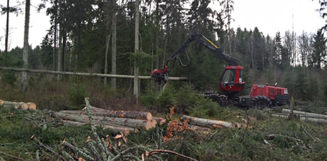 C24 logs being loaded onto a carriage